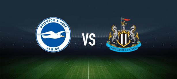 三亿体育体育视频-包含纽卡斯尔主场对阵布莱顿，实力对比引人瞩目的词条