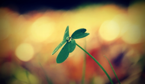 德比县客场大捷，领先积分榜