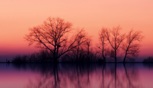 都灵主场击败罗马，豪取三分