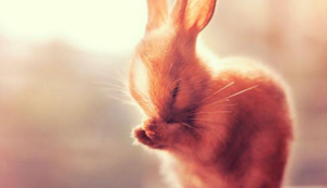 曼城主场力克对手，豪取三分